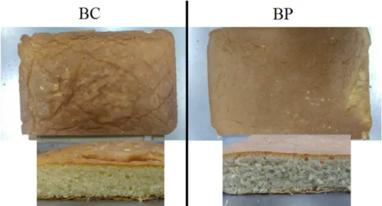 Figura 1 - Aparência e estrutura interna dos bolos controle (BC) e proteico (BP). 