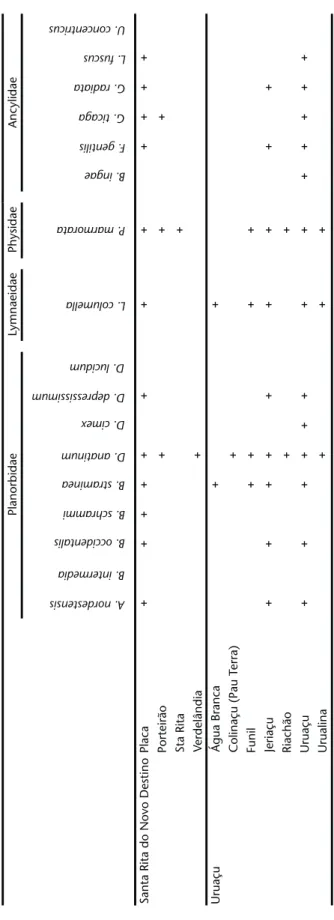 Tabela I. Continuação. PlanorbidaeLymnaeidaePhysidaeAncylidae Santa Rita do Novo DestinoPlaca++++++++++++ Porteirão+++ Sta Rita+ Verdelândia+ UruaçuÁgua Branca++ Colinaçu (Pau Terra)+ Funil++++ Jeriaçu+++++++++ Riachão++ Uruaçu+++++++++++++ Urualina+++