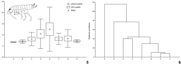 Figura 7. Talitroides  topitotum. Flutuação anual da freqüência absoluta da população total (linha) e das ocorrentes a 270 m (barras verticais vazias) e a 720 m (barras verticais preenchidas).