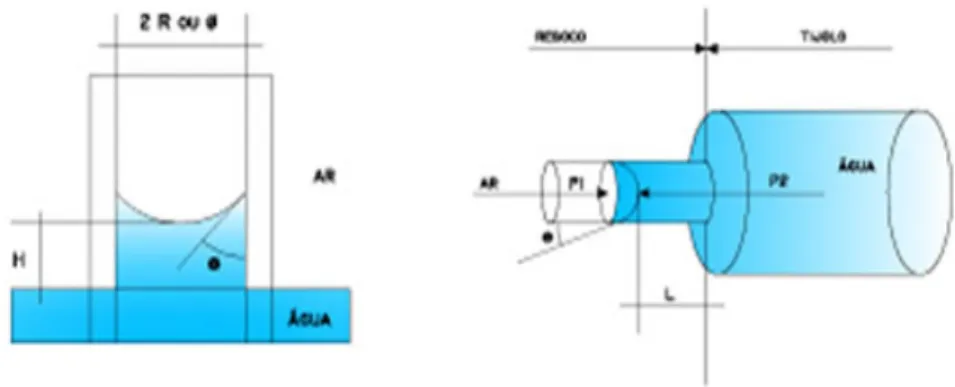 Figura 3.7 –Absorção capilar de água em um sólido poroso em sentido unidimensional [51] 