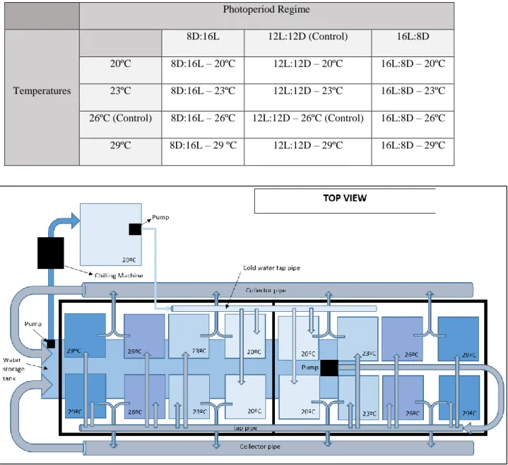 Table 1 – Experimental treatments 