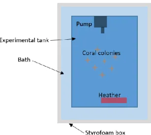 Figure 5 – Experimental tank setup.