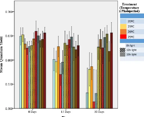 Figure 9 – Quantum yield efficiency of each treatment at T 0.  15 and 30 days of  experiment