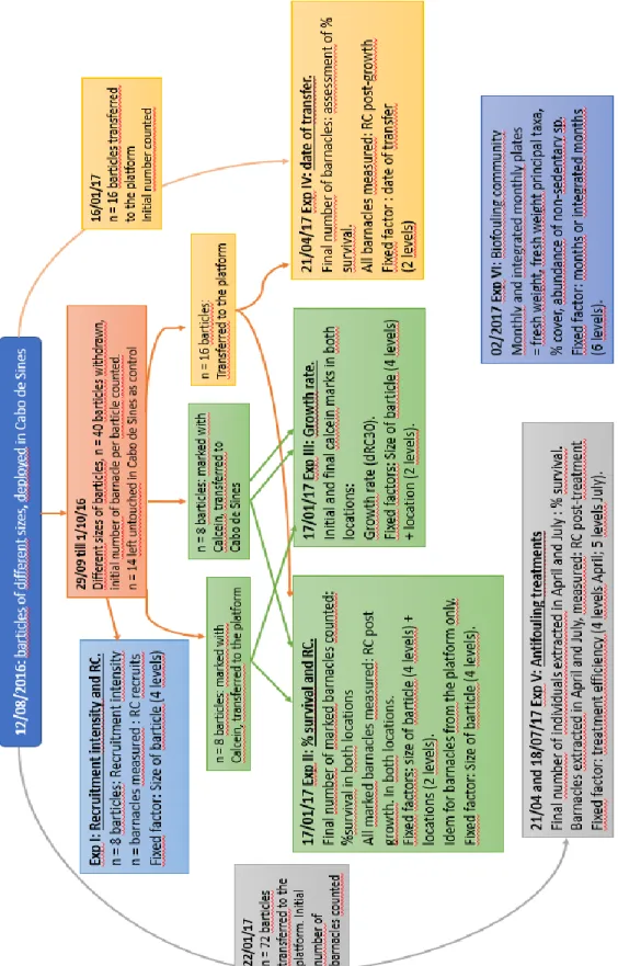 Fig.  8 Scheme of the progress of the experiments, performed during the thesis. 