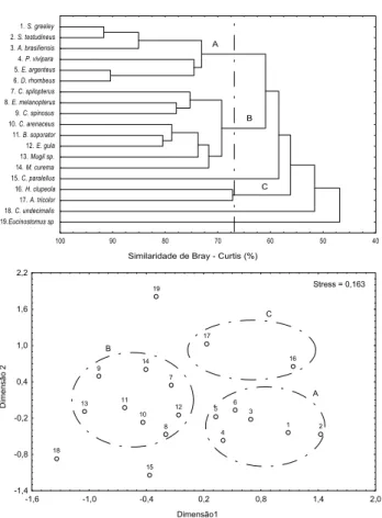Figura 5. Dendograma e ordenação pelo método MDS mostrando as similaridades entre os taxa mais abundantes baseadas em sua ocorrência ao longo dos doze meses de amostragem na Gamboa do rio Sucuriú