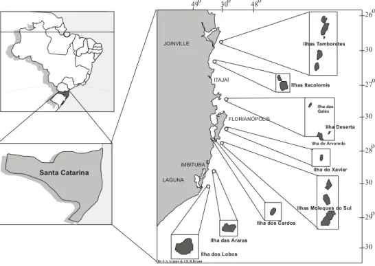 Figura 1. Mapa indicando a localização das ilhas estudadas.