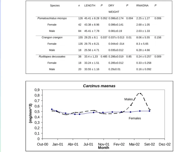 Figure 4.  Carcinus maenas variation of morphometric condition index between genders along different  seasons