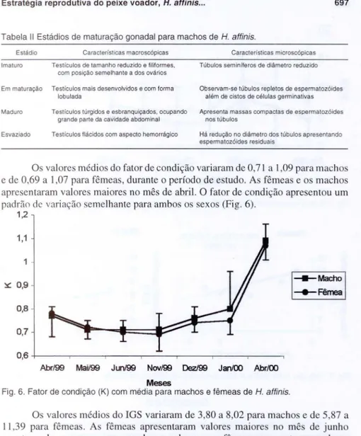 Tabela  11  Estádios de maturação gonadal para machos de  H.  affinis. 