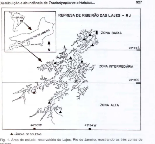 Fig.  1. Área  de  estudo,  reservatório  de  Lajes,  Rio  de  Janeiro, mostrando  as  três  zonas  de  coletas