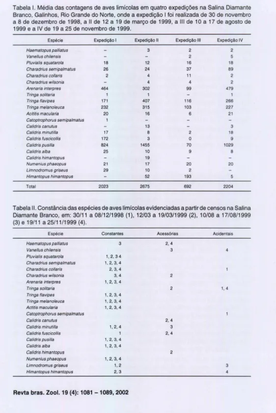 Tabela I.  Média das contagens de aves limícolas em  quatro  expedições na Salina Di amante  Branco,  Galinhos, Ri o Grande do Norte, onde a expedição I foi realizada de 30 de novembro  a 8 de  deze mbro de  1998 , a  11  de  12 a  19  de  março de  1999, 