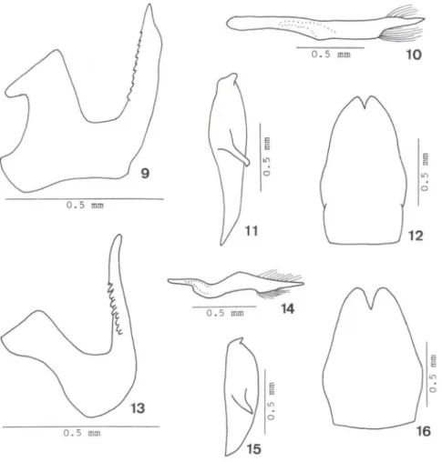 Figs  9-16.  (9·12)  Ceresa  amazonica  sp.  nov.,  parátipo  macho:  (9)  edeago,  vista  lateral  esquerda,  (10)  parâmero  esquerdo, vista  lateral  esquerda,  (11)  placa  lateral  esquerda  do  pigóforo, vista lateral esquerda, (12) placa subgenital 