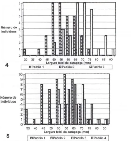 Figs 4-5.  Distribuição dos padrões de coloração de machos (4) e de fêmeas (5) de Cardisoma  guanhumi nas classes de  largura da carapaça