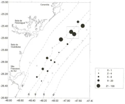 Fig.  3.  Distribuição  e densidade  (em  número  de  individuos  por  hora  de  arrasto)  de Chione  pubera a partir das coletas feitas  no primeiro cruzeiro de prospecção (4  a 9 de dezembro de  1995)