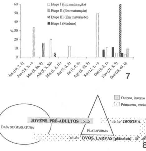 Figs 7-8. (7) Distribuição dos valores de abundância de exemplares de M.  furnieri nos estágios 