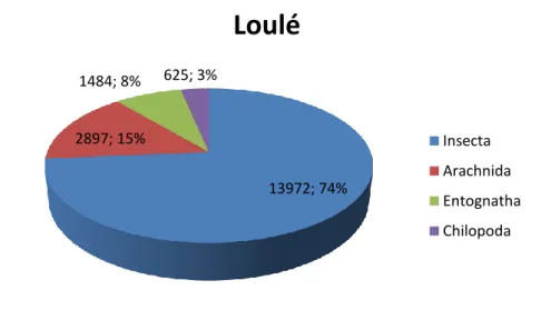 Figure  1.  Percentage  of  total  number  of  individuals  that  belonged  to  classes  of  arthropods  captured  in  all  the  traps  and  plant  material  collected  in  the  olive  grove  of  Loulé,  during  the  four years of the study (from April 201
