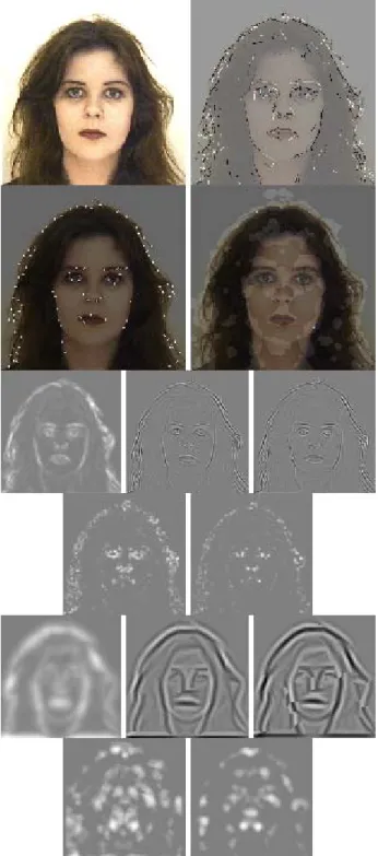 Fig. 2. Fiona image with line/edge, keypoint and saliency maps, plus  simple, complex and end-stopped cell responses (see text).