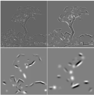 Fig. 4. Brightness induction 1: simultaneous contrast in which the  background pushes brightness in the opposite direction