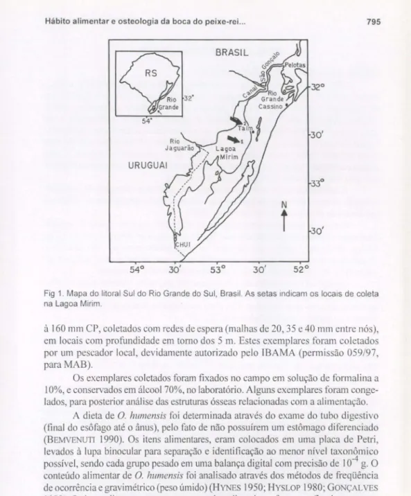 Fig 1. Mapa do litoral Sul do Rio Grande do Sul. Brasil. As setas indicam os locais de coleta na Lagoa Mirim.