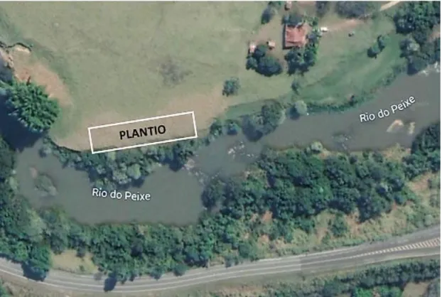 Figura 2. Vista geral da área onde foi realizado o plantio. Extraído e modificado de  Google earth, 2019 