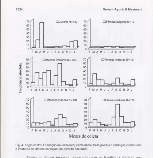 Fig. 4. Aegla castro. Flutuação anual da freqüência absoluta de juvenis e caranguejos maturas e imaturas de ambos os sexos, no período estudado.