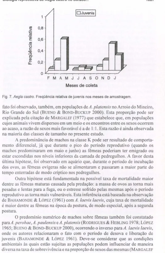 Fig. 7. Aegla castro. Freqüência relativa de juvenis nos meses de amostragem.