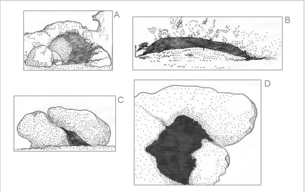 Figura  2  –  Ilustrações  dos  quatro  tipos  de  abrigos  considerados:  A  –  Reentrância;  B  –  Largo  e  baixo,  tipo 