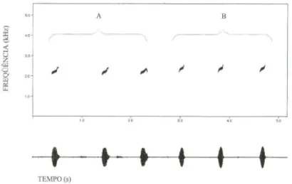 Fig.  18.  Sonograma  (acima)  e  oscilograma  (abaixo)  das  vocalizações  de  anúncio  de:  (A)  Ap/astodiscus perviridis  (Ribeirão Branco,  São Paulo, temperatura do ar 18,5 Q C) ; (B)   Aplasto-discus cochranae  comb