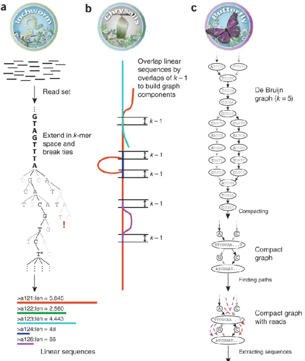 Figure 1.2: Overview of Trinity [2]. 