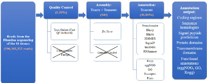 Figure  3.1:  Methodology  decision  making  flowchart  and  respective  results.  The  original  593,341,322 reads went through a quality control check using Trim Galore and Trimmomatic  which were compared with FastQC
