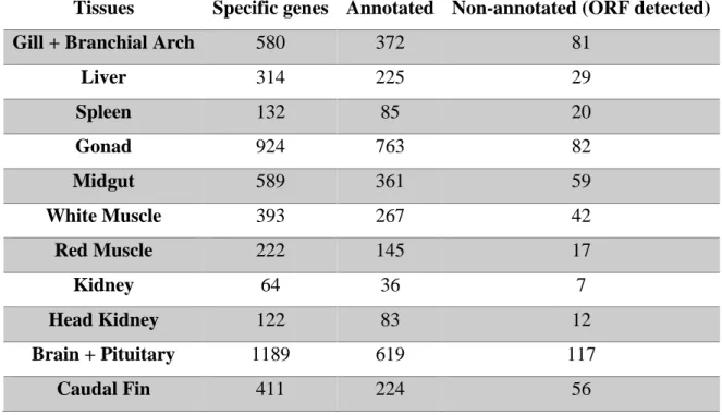 Table  3.9:  Number  of  tissue-specific  genes  predicted  in  different  tissues,  and  respective  annotated and non-annotated but with ORF detected