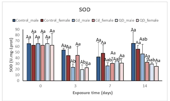 Figure 3.2. Comparison of SOD activity (mean ± std) (U.mg -1 prot) between male and female gonads  of mussels M