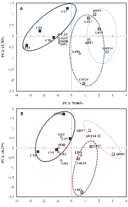 Figure 3.7. Principal component analysis (PCA)  of a battery of biomarkers (SOD, CAT, GPx,  GST  activities and LPO) in male (A) and female (B) gonads of mussels M