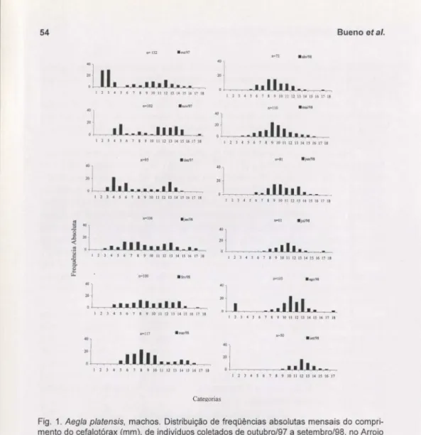 Fig .  1. Aegla  platensis,  machos.  Distribuição de freqüências  absolutas  mensais do  compri- compri-mento do cefalotórax (mm),  de indivíduos coletados de outubro/97 a setembro/98,  no Arroio  do Mineiro,  município de Taquara,  Rio Grande do Sul  (Ca