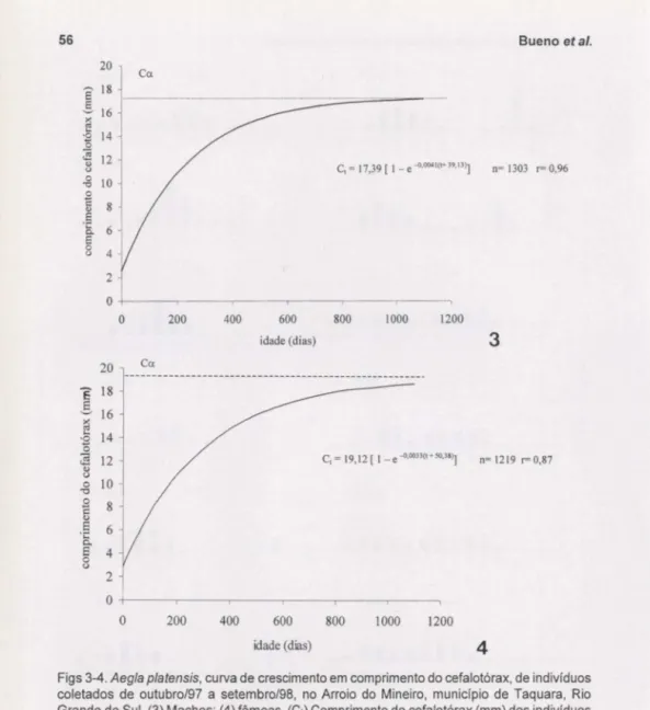 Figs 3-4. Aegla platensis, curva de crescimento em comprimento do cefalotórax, de individuas  coletados  de  outubro/97  a  setembro/98,  no  Arroio  do  Mineiro,  município  de  Taquara,  Rio  Grande do Sul