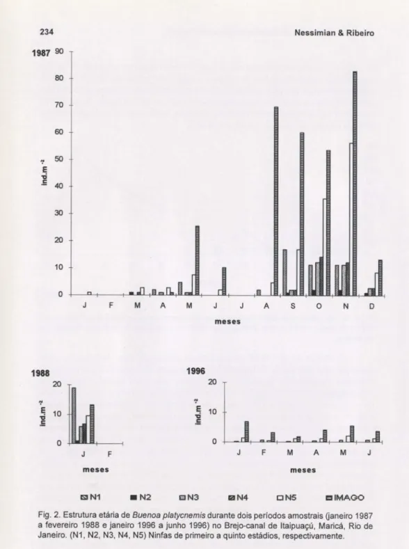 Fig . 2. Estrutura etária de Buenoa platycnemis durante dois períodos amostrais (janeiro 1987  a fevereiro  1988  e janeiro  1996  a junho  1996)  no  Brejo-canal  de  Itaipuaçú,  Maricá,  Rio  de  Janeiro