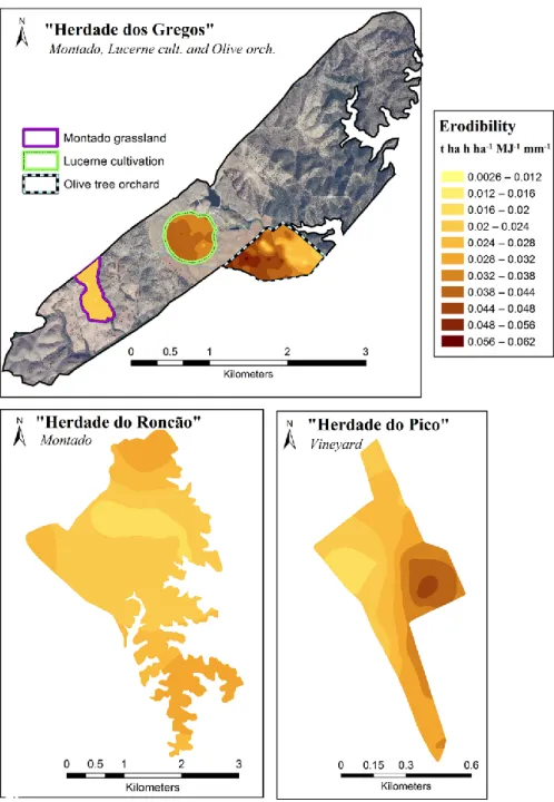 Figure 9 - Distribution maps of predicted soil erodibility factor (K) for each experimental area
