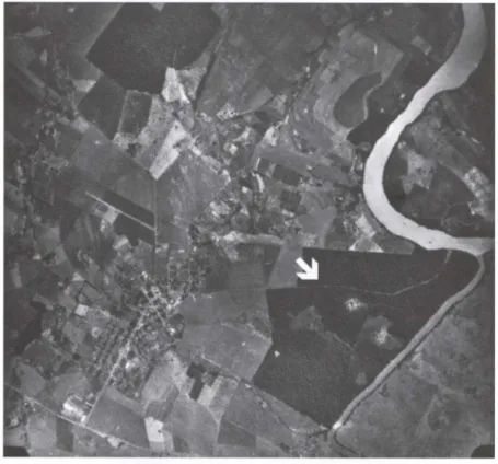 Fig. 2.  Vista aérea de Fênix. A seta branca indica o local em que a armadilha foi  instalada