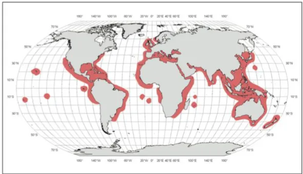 Figure 1.2: Geographical distribution of Auxis rochei. Source: Valeiras &amp; Abad (2006)