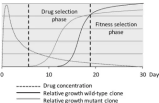 FIG 5 Hypothetical graph of the relative growth rate for a wild-type clone and a mutant clone in relation to the drug concentration over days after treatment in vivo