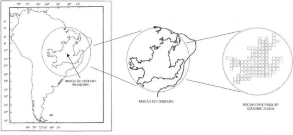 Fig . 1. Mapa base da América do Sul (adaptado de  CAMPBELL  &amp;  LAMAR  1989), área do cerrado  em detalhe e área do cerrado representada pela malha de quadriculas com 156.5 Km de lado