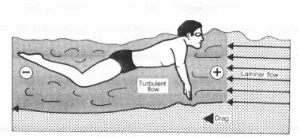 Figura 2 – Fluido laminar e turbulento em natação (adaptado de Costill et al, 1992) 