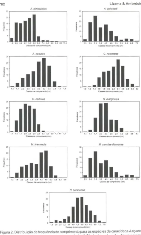 Figura 2. Distribuição de frequência de comprimento para as espécies de caracídeos Astyanax bimaculatus, Aphyocharax nasutus, Astyanax schubarti, Cheirodon notomelas, Hemigrammus marginatus, Hyphessobrycon callistus, Moenkhausia intermedia, M