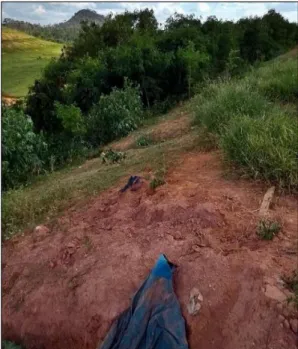 Figure 3. Plastic bags appearing on the landfill: a consequence of erosion at the site