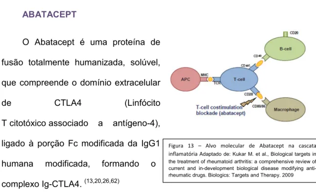 Figura  13  –  Alvo  molecular  de  Abatacept  na  cascata  inflamatória A daptado  de:  Kukar  M