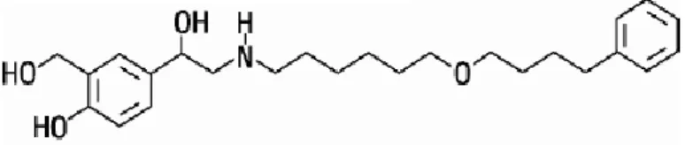 Figura 3: Estrutura química do salmeterol [28].