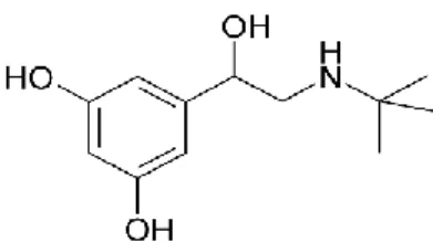 Figura 5: Estrutura química da terbutalina [28]. 