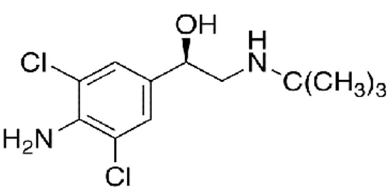 Figura 6: Estrutura química do clenbuterol [28]. 