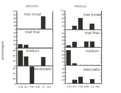 Fig.  7.  Variação bimestral de freqüências estádios de maturação em  machos e fêmeas de  C