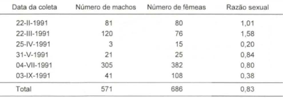 Tabela  I.  Número total  de  machos,  de fêmeas  e razão  sexual da espécie  Cap relia  penantis,  coletada na Ilha de Anhatomirim, Santa Catarina, no período de fevereiro a setembro de 1991 