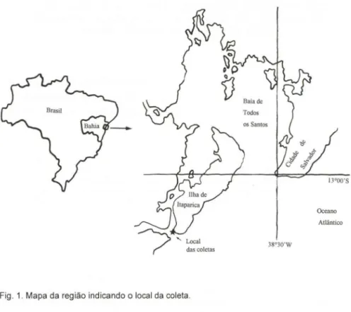 Fig.  1.  Mapa da  região indicando o local da  coleta. 